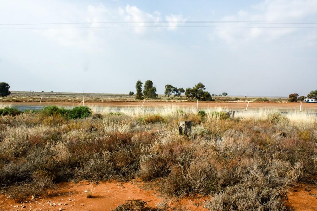 SA/NSW border, Barrier Hwy.