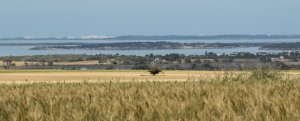 View at rest stop