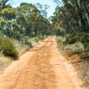 Dirt track into Kimba