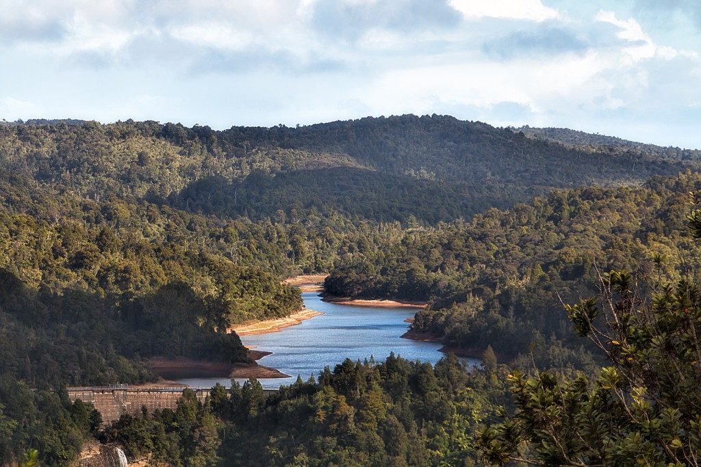 Waitakere Ranges New Zealand