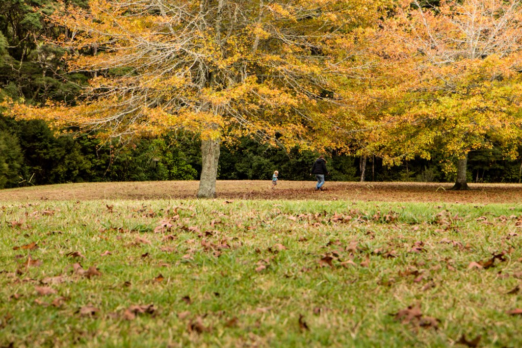 Autum in New Zealand